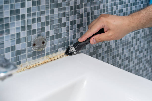 Best Mold Inspection  in Steubenville, OH